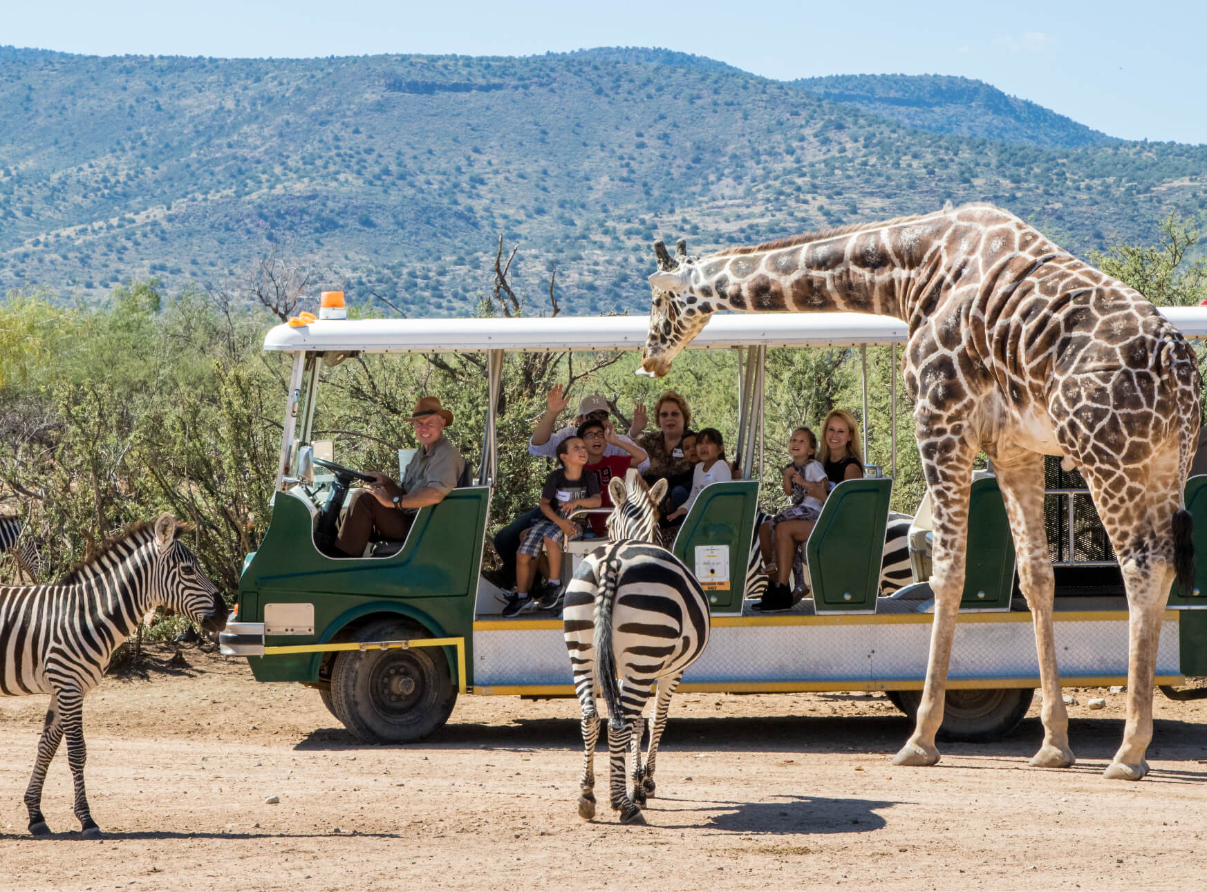 Out of Africa Wildlife Park and Safari in Arizona
